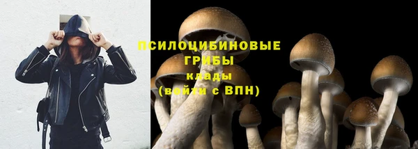 спиды Абаза
