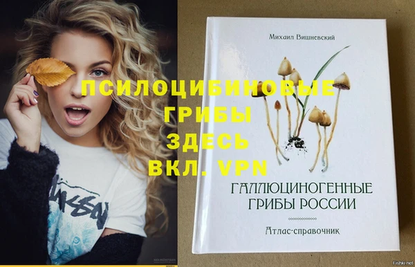 ECSTASY Алексеевка