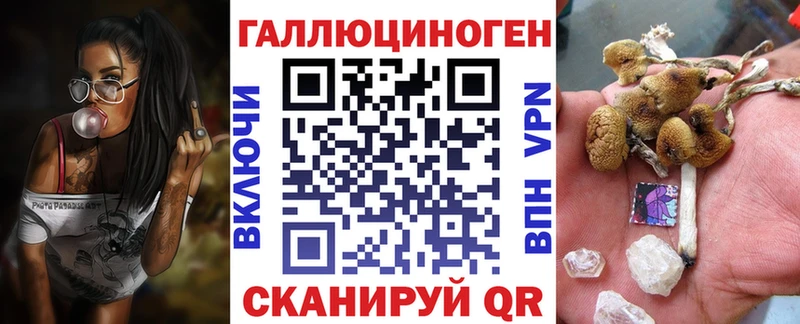 Псилоцибиновые грибы Psilocybe  Тихвин 